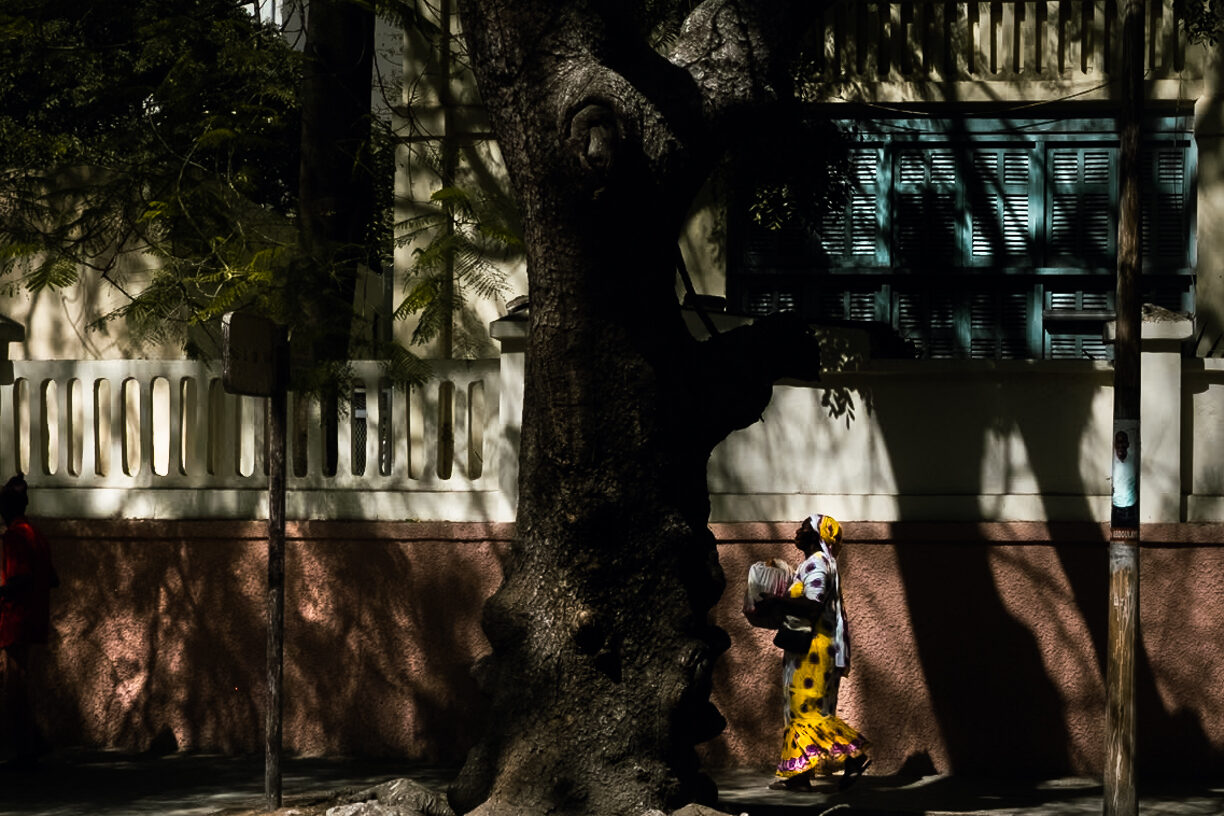 Ballet in the Blossoms