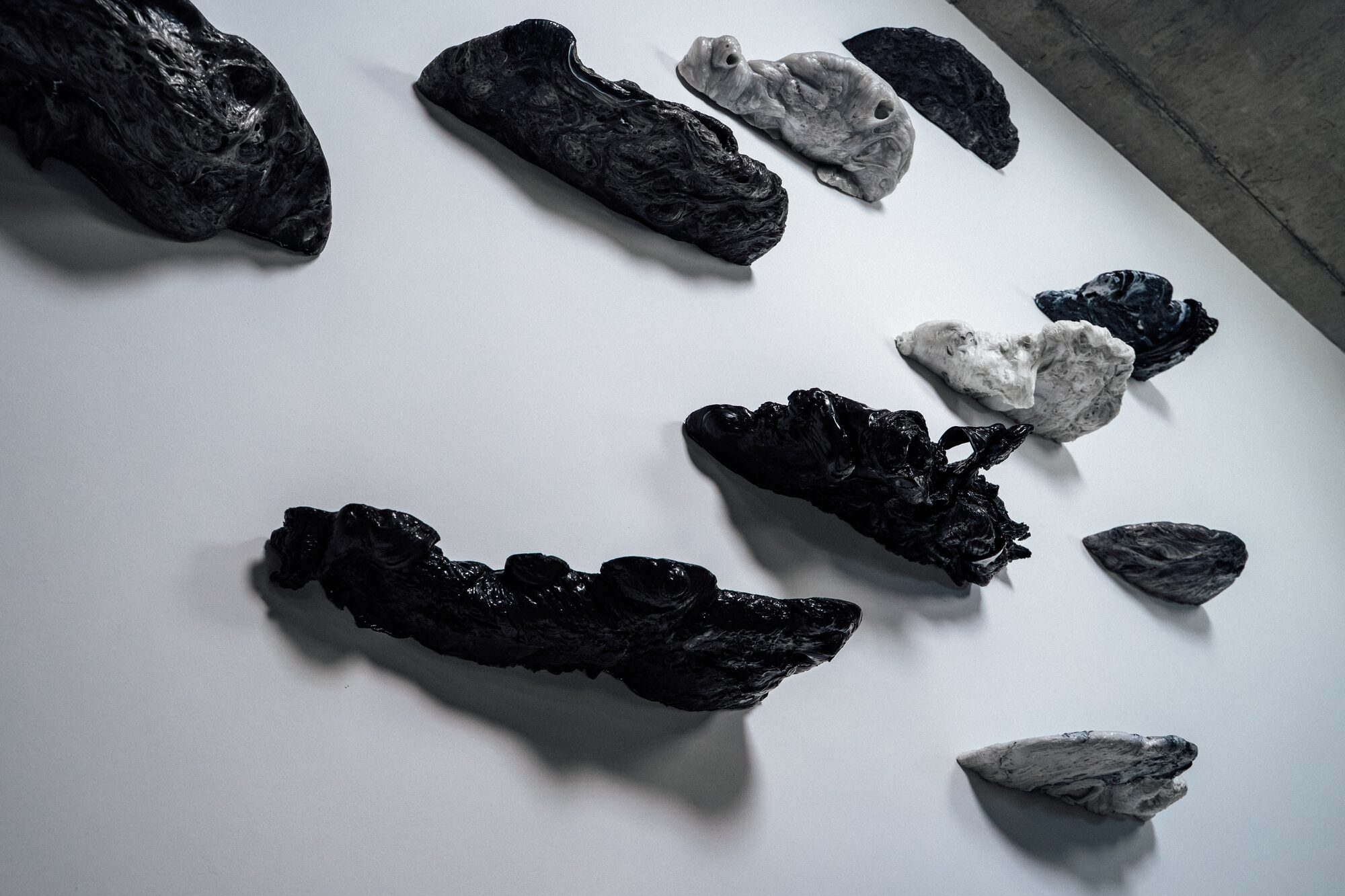 Shelves - Polypores